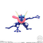 ポケモンスケールワールド　カロス地方