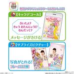 キャラデコパーティーケーキ  トロピカル〜ジュ！プリキュア (チョコクリーム)(5号サイズ)