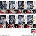 JAPAN NATIONAL VOLLEYBALL TEAM -男子日本代表ver.- ツインウエハース 2026