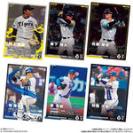 プロ野球ファンスターズリーグ 柿の種