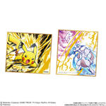 ポケモン 色紙ART