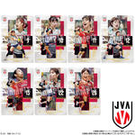JAPAN NATIONAL VOLLEYBALL TEAM -女子日本代表ver.- ツインウエハース 2026