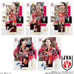JAPAN NATIONAL VOLLEYBALL TEAM -女子日本代表ver.- ツインウエハース 2026