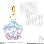 ポケモン パチパチデコネーム