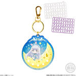 わんだふるぷりきゅあ！ パチパチプリキュアデコネーム