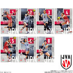 JAPAN NATIONAL VOLLEYBALL TEAM -女子日本代表ver.- ツインウエハース 2026