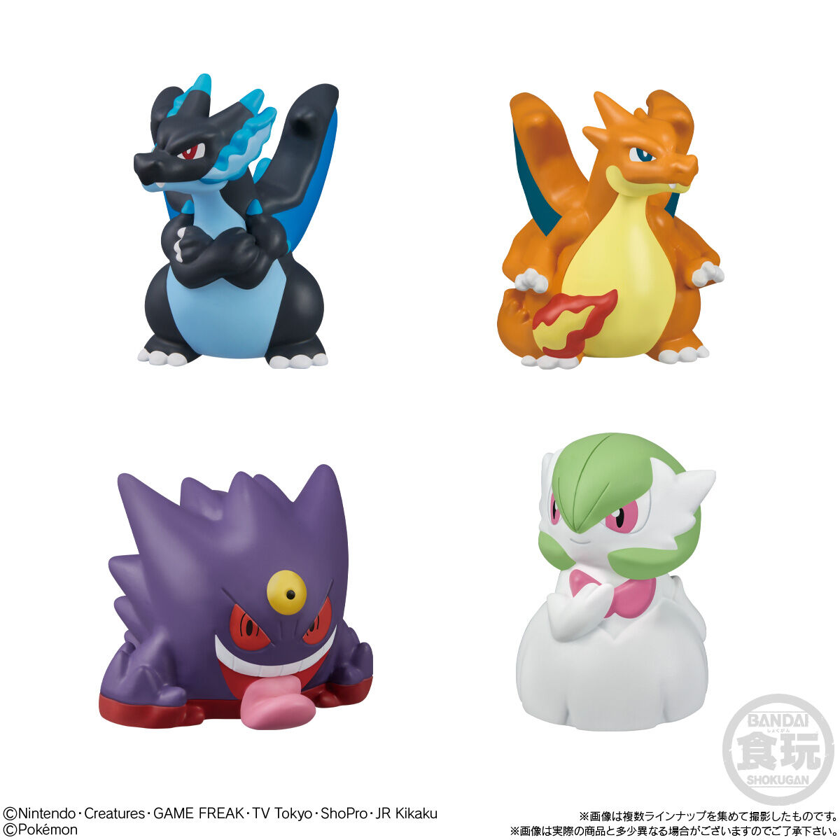 ポケモンキッズ ポケモンキッズ メガリザードンX&メガリザードンY編|発売日