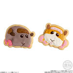 PUI PUI モルカー COOKIE MAGCOT