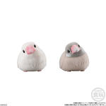 Amazon | バンダイ(BANDAI) もふもふ てのりフレンズ 12個入 BOX