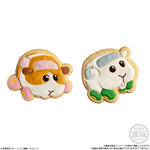 PUI PUI モルカー COOKIE MAGCOT