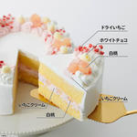 キャラデコパーティーケーキ 名探偵プリキュア！(5号サイズ)