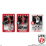 JAPAN NATIONAL VOLLEYBALL TEAM ツインウエハース 2025