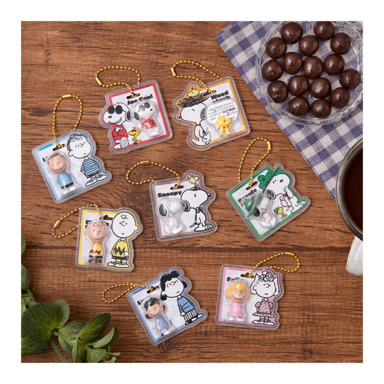 PEANUTS -SNOOPY- パッケージチャーム&チョコボーロ