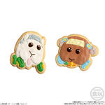 PUI PUI モルカー COOKIE MAGCOT_5