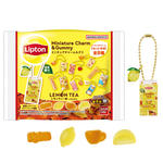 Lipton ミニチュアチャーム＆グミ