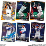 プロ野球ファンスターズリーグ 柿の種