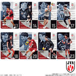 JAPAN NATIONAL VOLLEYBALL TEAM -男子日本代表ver.- ツインウエハース 2026