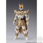 掌動-XX 仮面ライダークウガ アルティメットフォーム＆ン・ダグバ・ゼバセット【プレミアムバンダイ限定】