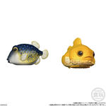 うるツヤてのりフレンズ