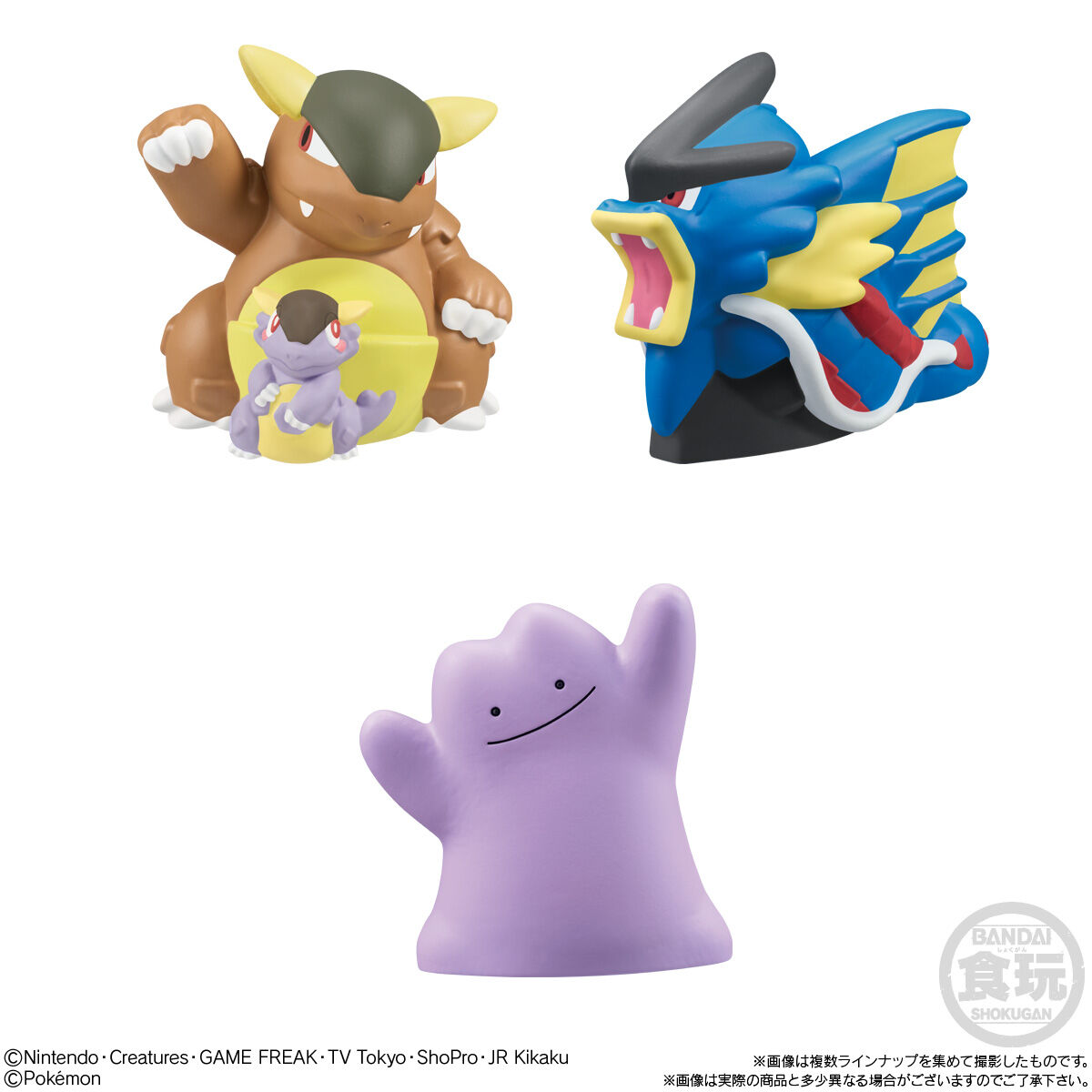 ポケモンキッズ ポケモンキッズ 30周年スペシャルvol.2編｜発売日：2026年5月25日