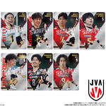 JAPAN NATIONAL VOLLEYBALL TEAM ツインウエハース 2025