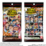 プロ野球デフォルメカードコレクション2025SPRING かきの種