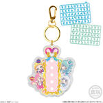 わんだふるぷりきゅあ！ パチパチプリキュアデコネーム