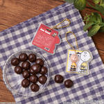 PEANUTS -SNOOPY- パッケージチャーム&チョコボーロ