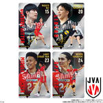 JAPAN NATIONAL VOLLEYBALL TEAM ツインウエハース 2025