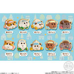 PUI PUI モルカー COOKIE MAGCOT