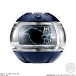 SGライダーカプセム02