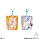 プリキュア カードホルダー