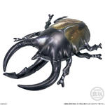 生物探検隊～虫編2024～