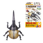 生物探検隊～虫編2024～