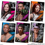 RIZINウエハース'25