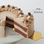 キャラデコパーティーケーキ 名探偵プリキュア！ (チョコクリーム)(5号サイズ)