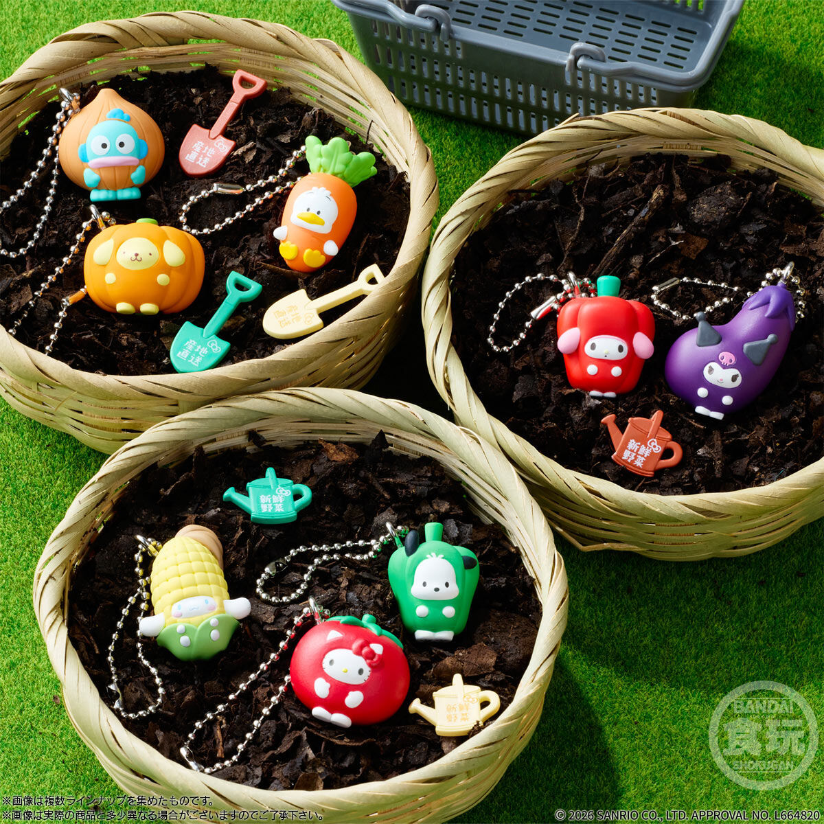 サンリオキャラクターズ ベジタブルビスケット＆チャーム｜発売日