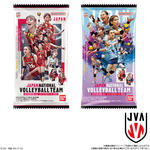 JAPAN NATIONAL VOLLEYBALL TEAM -女子日本代表ver.- ツインウエハース 2026