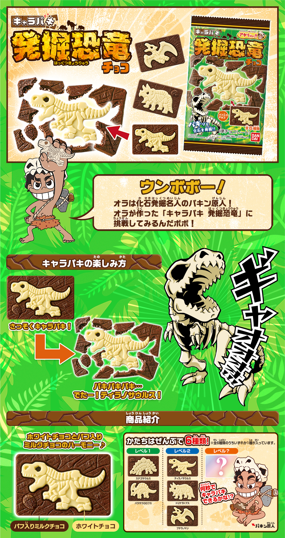 キャラパキ 恐竜発掘