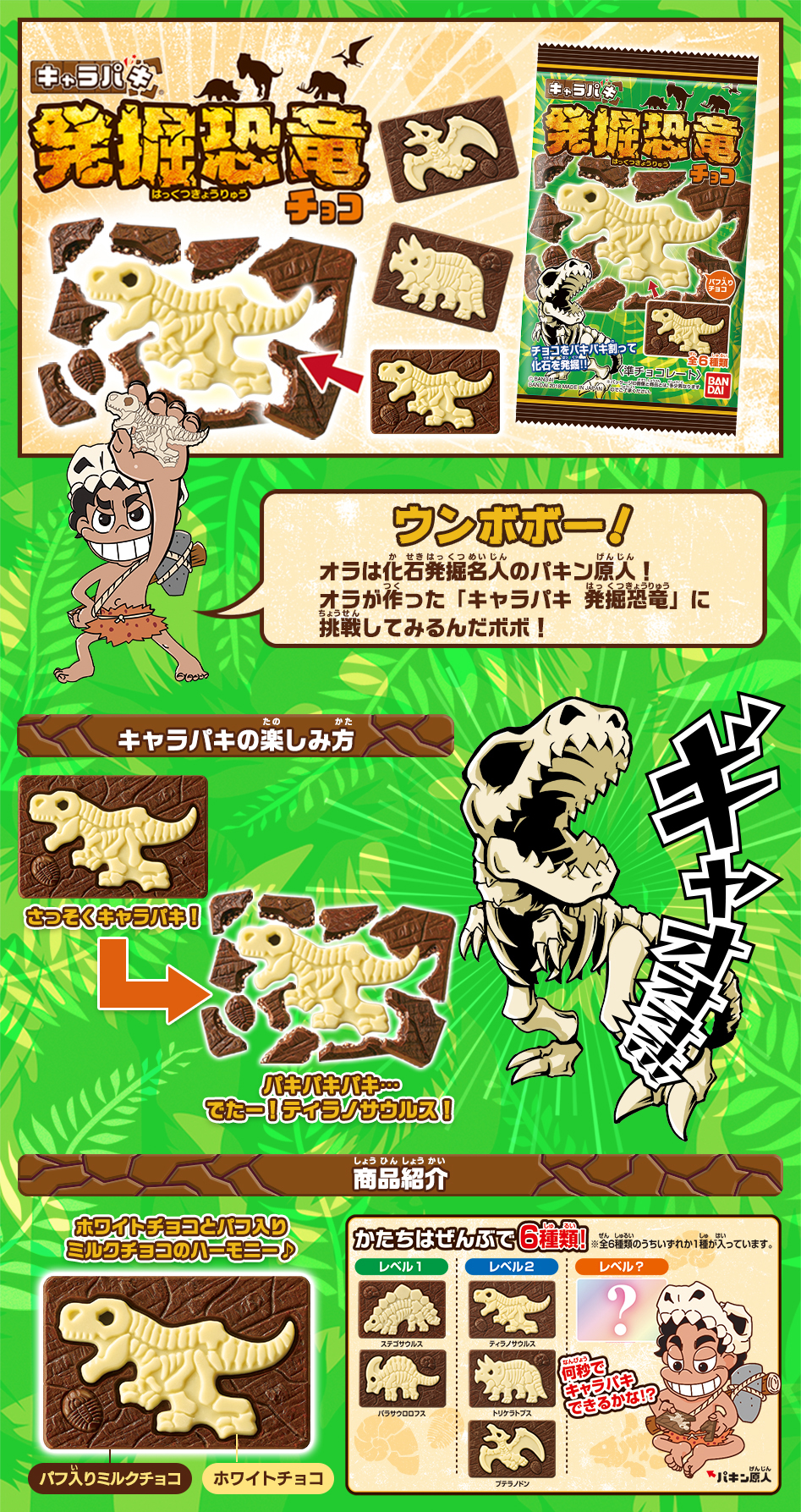 キャラパキ 恐竜発掘