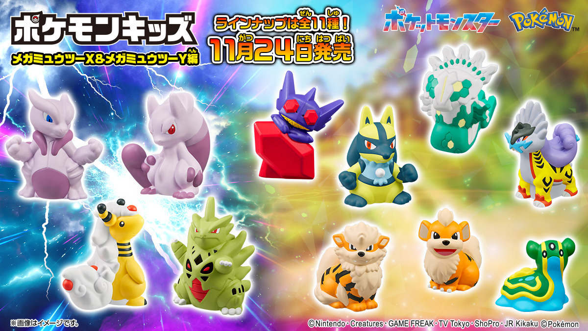 ポケモンキッズ メガミュウツーX&メガミュウツーY編