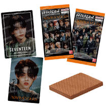 SVTウエハース From PLEDIS ENTERTAINMENT SEVENTEEN｜発売日：2023年12月4日