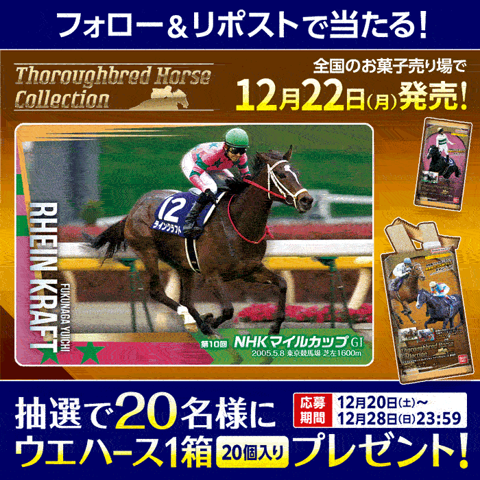 サラブレッドホースコレクション ツインウエハース 第3R｜発売日：2025