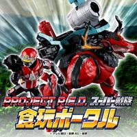 PROJECT R.E.D.・スーパー戦隊シリーズ