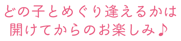 どの子とめぐり逢えるかは開けてからのお楽しみ♪