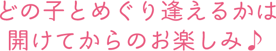 どの子とめぐり逢えるかは開けてからのお楽しみ♪