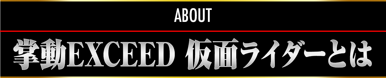 掌動EXCEED 仮面ライダーとは