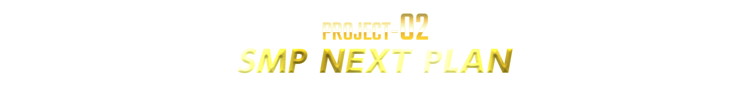 PROJECT-02：SMP NEXT PLAN