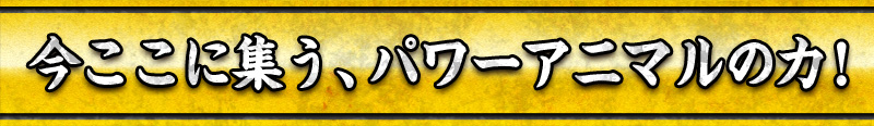 今ここに集う、パワーアニマルの力！