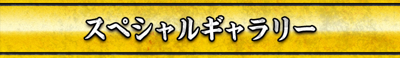スペシャルギャラリー